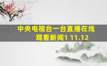 中央电视台一台直播在线观看新闻1 11.12